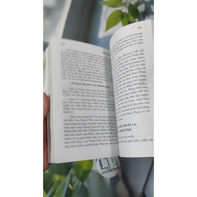 Nhà Nguyễn Chín Chúa Mười Ba Vua - Thi Long 970255