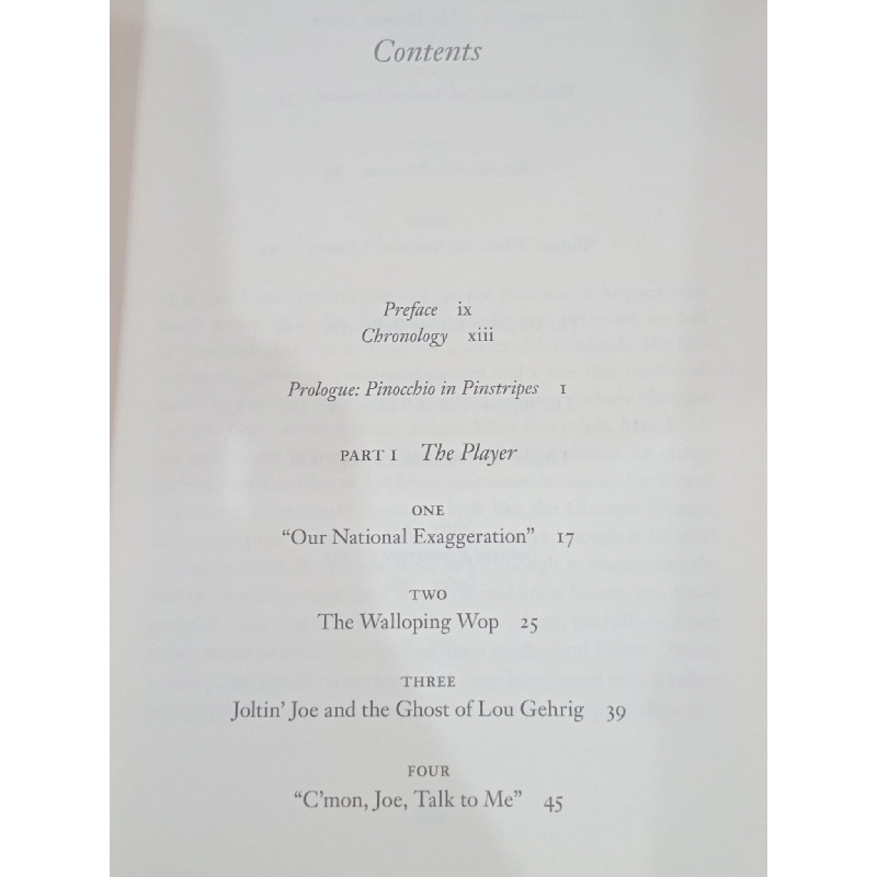 Joe DiMaggio: The Long Vigil - Jerome Charyn 750187