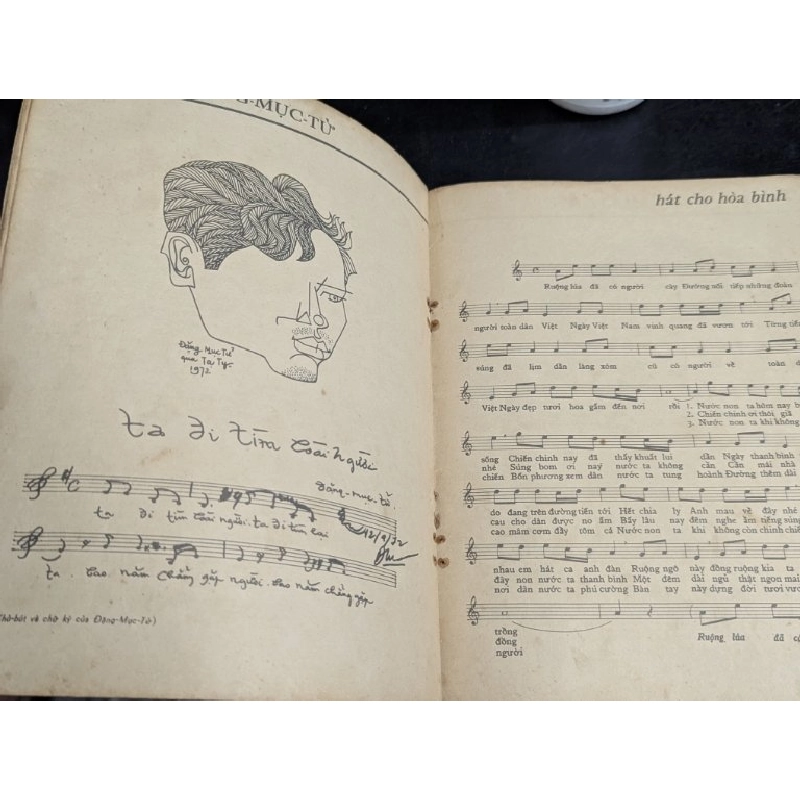 12 nhạc sĩ du ca việt nam 727094