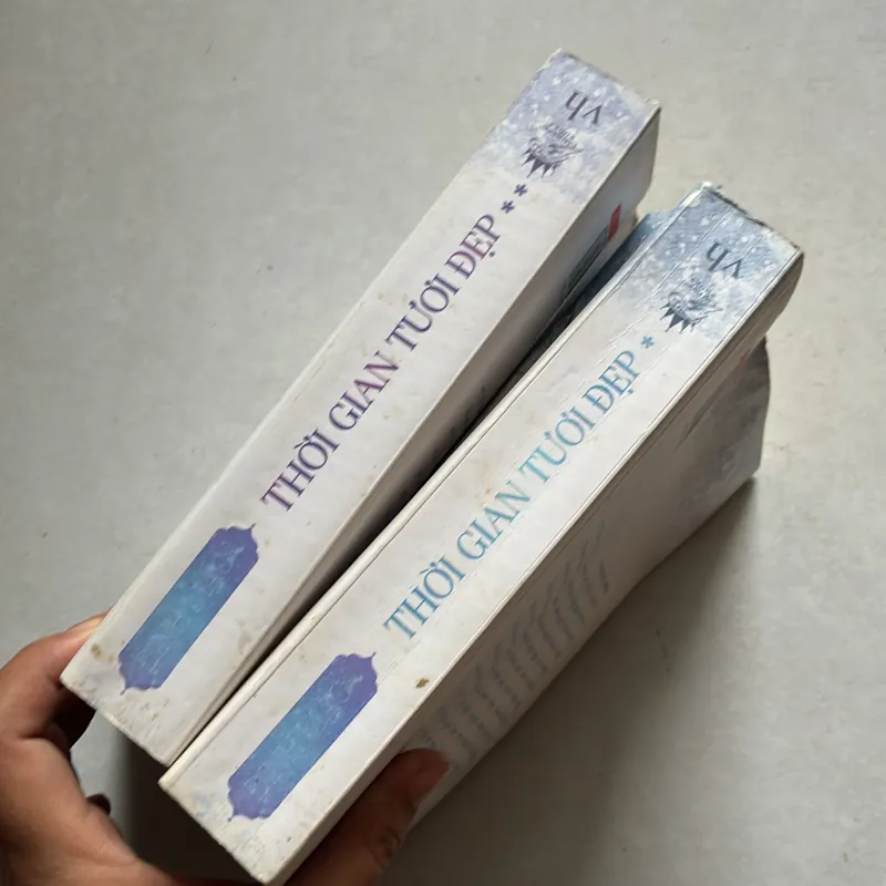 Thời gian tươi đẹp (Bộ 2 tập) - Đinh Mặc 789340