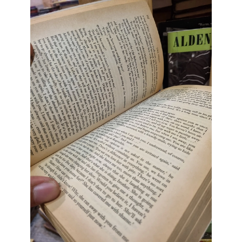 The Idiot - Fyodor Dostoevsky 450134