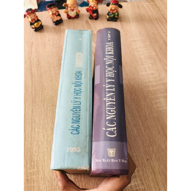 Các Nguyên Lý Y Học Nội Khoa – HARRISON (2 tập) 934654