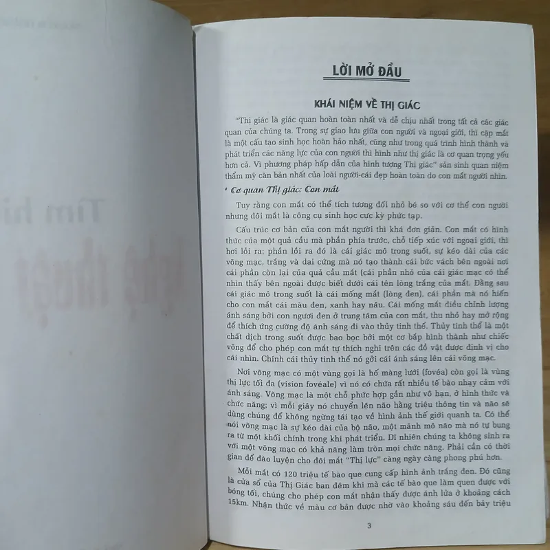 Tìm Hiểu Nghệ Thuật Thị Giác - Nguyễn Hoàng Huy 714395