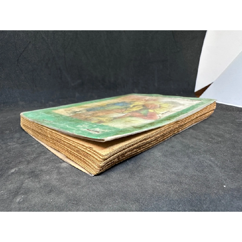 Cô gái Chúc Sơn 1991 Chân Phương. New 60% SBM1407 450704