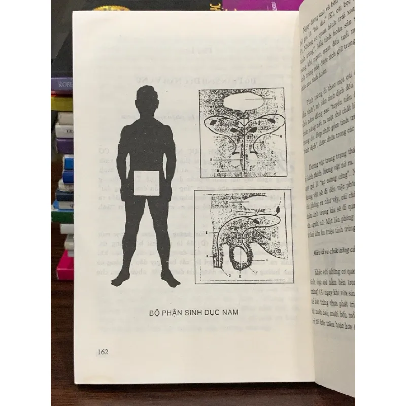 Giáo dục giới tính cho thanh thiếu niên – Nguyễn Thanh Thông (biên soạn) 563636