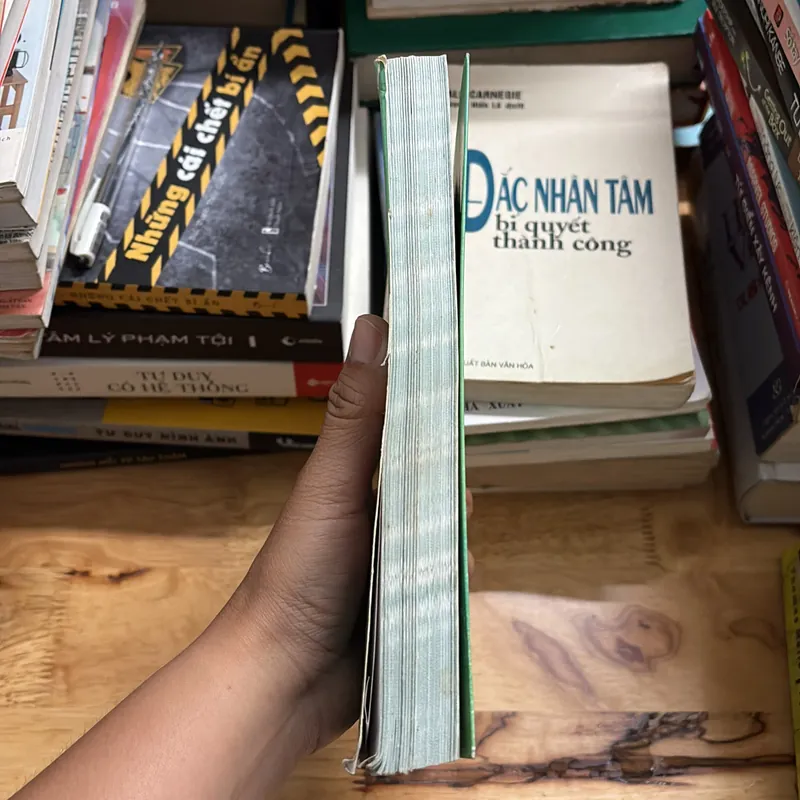 II Văn Học: Cửa Sổ Tâm Hồn - Nhiều Tác Giả - 2008 697202