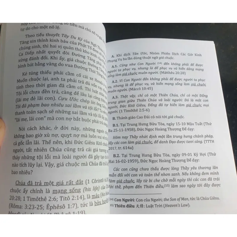 Sơ khảo thuật ngữ đạo Chúa trong Đạo Cao Đài - Huệ Khải mới 90% 696886