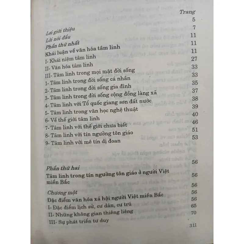 VĂN HÓA TÂM LINH - NGUYỄN ĐĂNG DUY 736486
