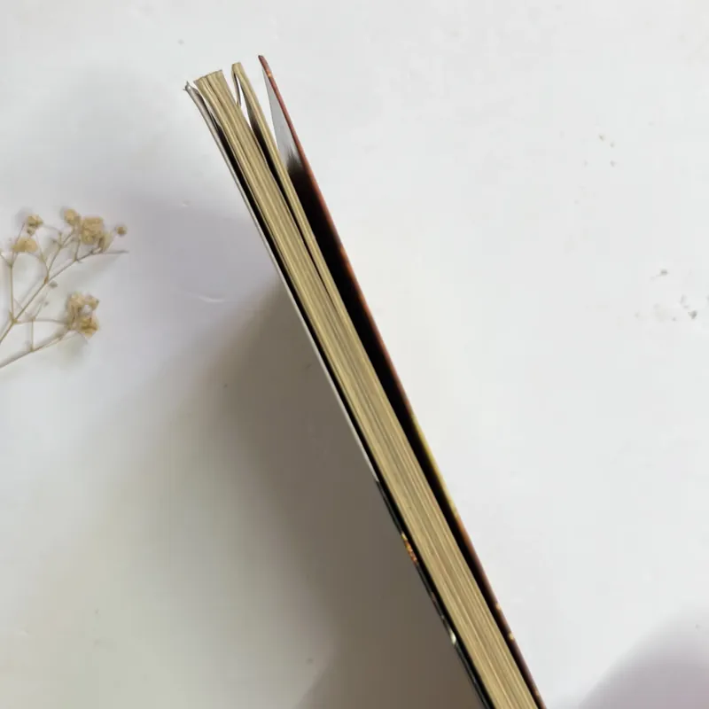 Món ăn Ấn Độ – Nghệ thuật nấu ăn thế giới 594798