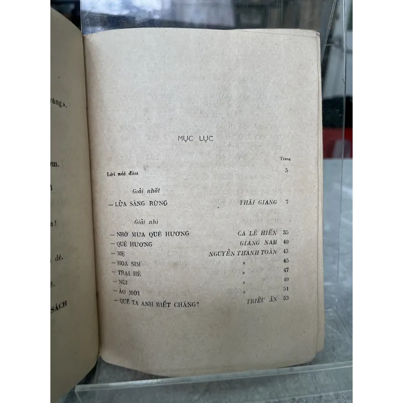 LỬA SÁNG RỪNG 704016