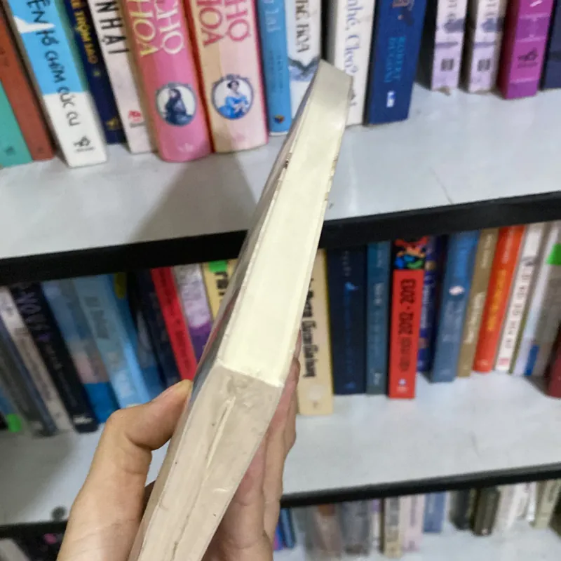 Ngoảnh lại một đời Bạch Lạc Mai 569912