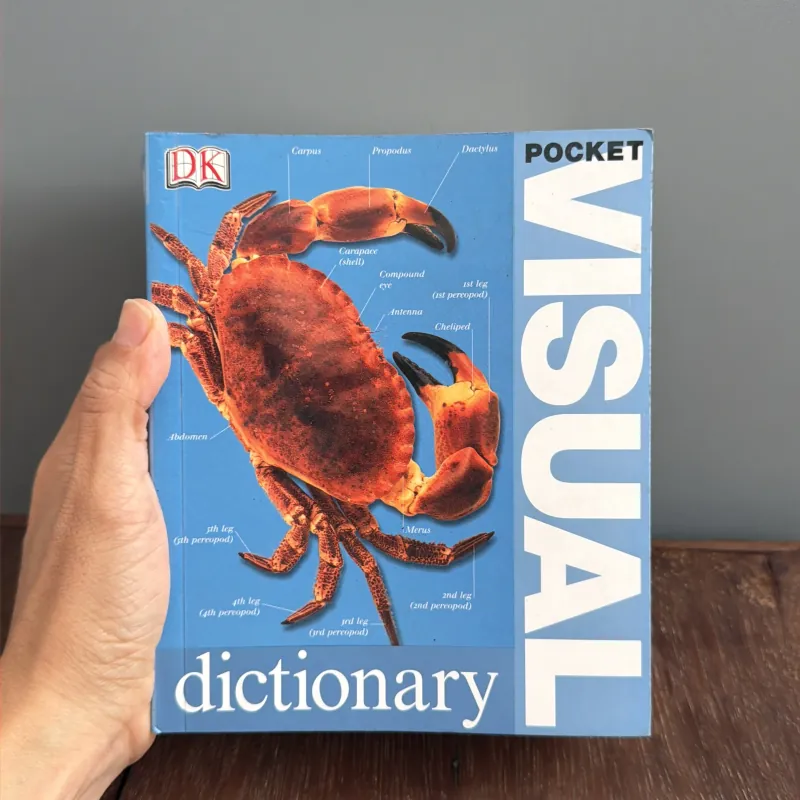 Từ điển màu Pocket visual dictionary mới 99.9% 791726