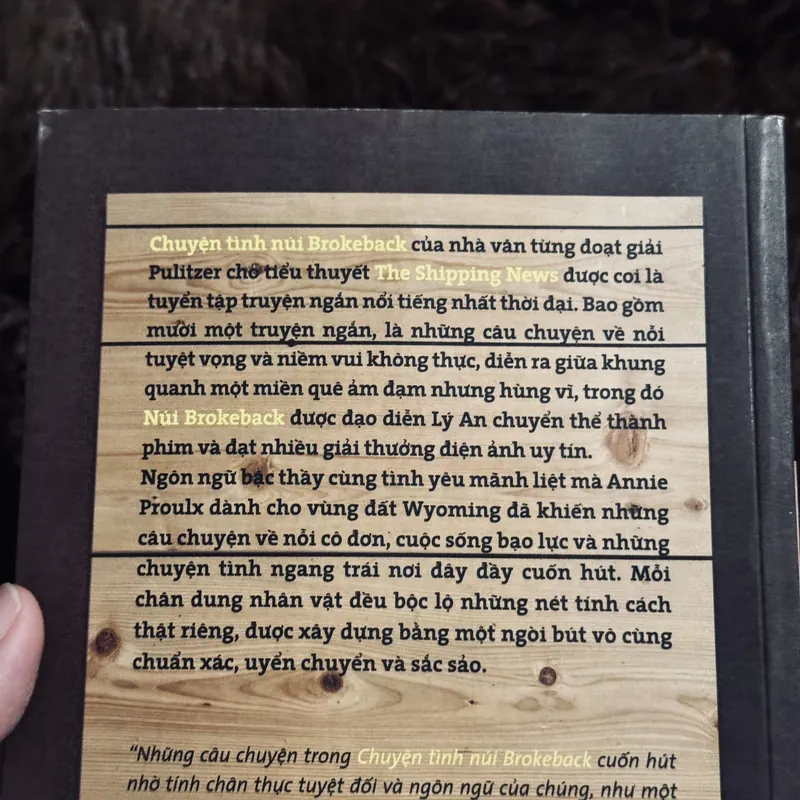 Chuyện tình núi BrokeBack 719006