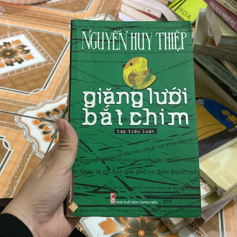 Giăng lưới bắt chim 784518