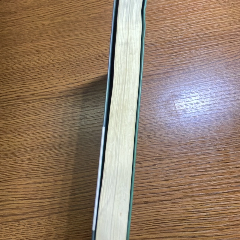 Chấp nhận cuộc đời Luise Rinser 370124