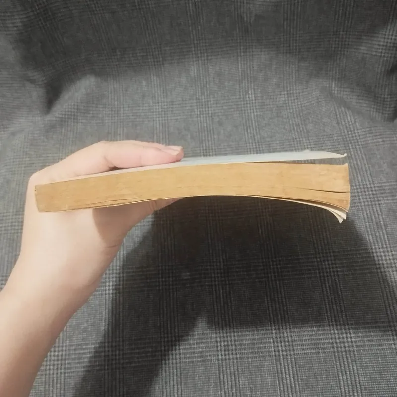 Mastering English Usage - Robert Ilson & Janet Whitcut - 1996 - NXB Trẻ 597059