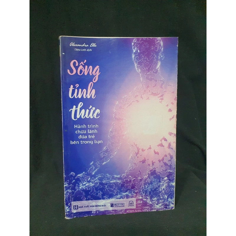 SỐNG TỈNH THỨC MỚI 90% 2023 -HCM205 ALEXANDRA ELLE SÁCH TÂM LINH - TÔN GIÁO - THIỀN 923362