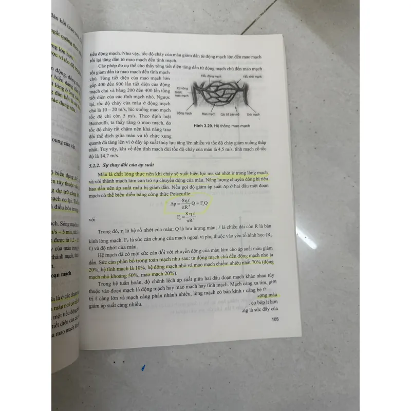 Giáo trình giảng dạy đại học VẬT LÝ LÝ SINH  593710