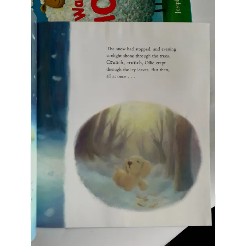 Lost in the Snow – Linda Jennings & Alison Edgson 561173