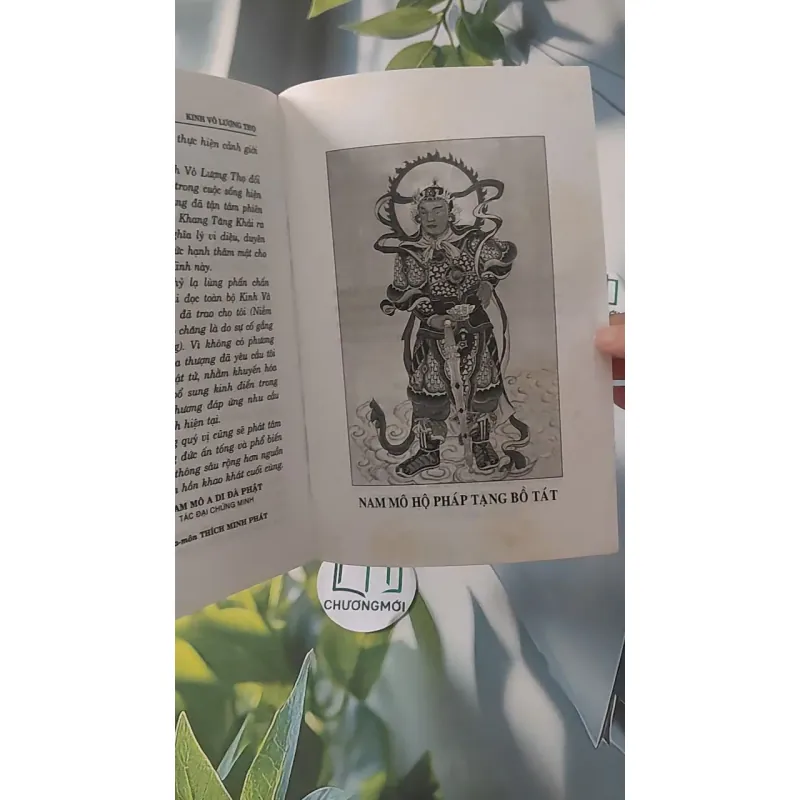 Kinh Vô Lượng Thọ - Thích Tuệ Đăng (Dịch) 928502