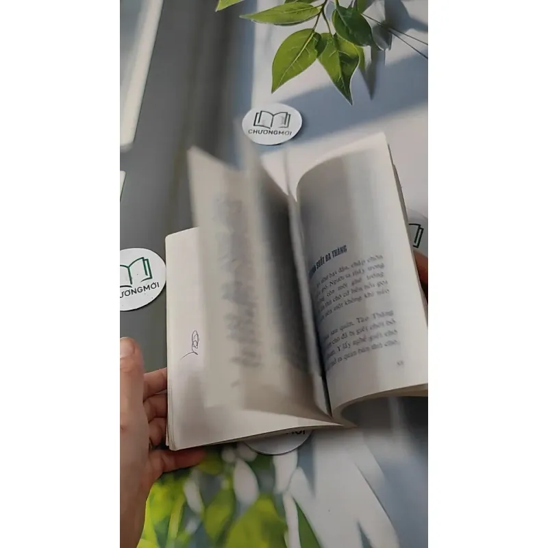 Thương Yêu Sự Sống - Tấn An 727266