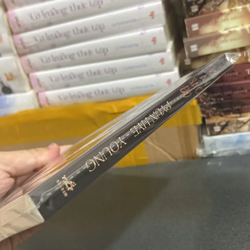 (Văn học hiện đại) - Tro tàn sắc đỏ - Pyun Hye-Young 976211