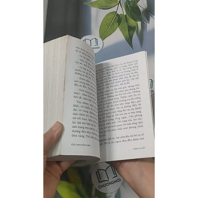 Công ty - Phan Hùng Nhiên 688482