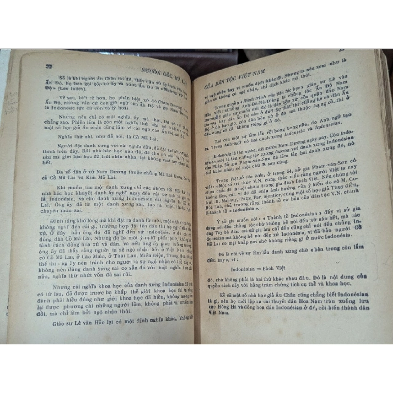 Nguồn Gốc Mã Lai Của Dân Tộc Việt Nam - Bình Nguyên Lộc 140724