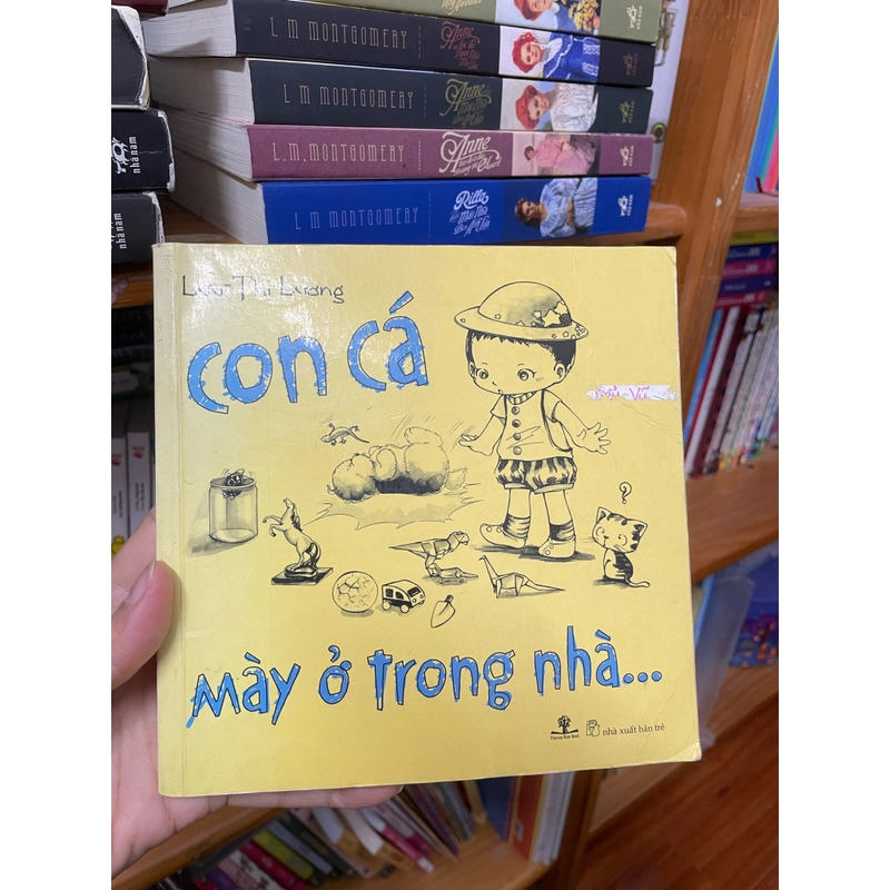 Con cá mày ở trong nhà 380379