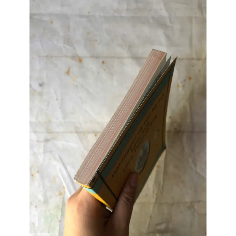 Heidegger Và Con Hà Mã Bước Qua Cổng Thiên Đường - Thomas Cathcart & Daniel Klein 784638