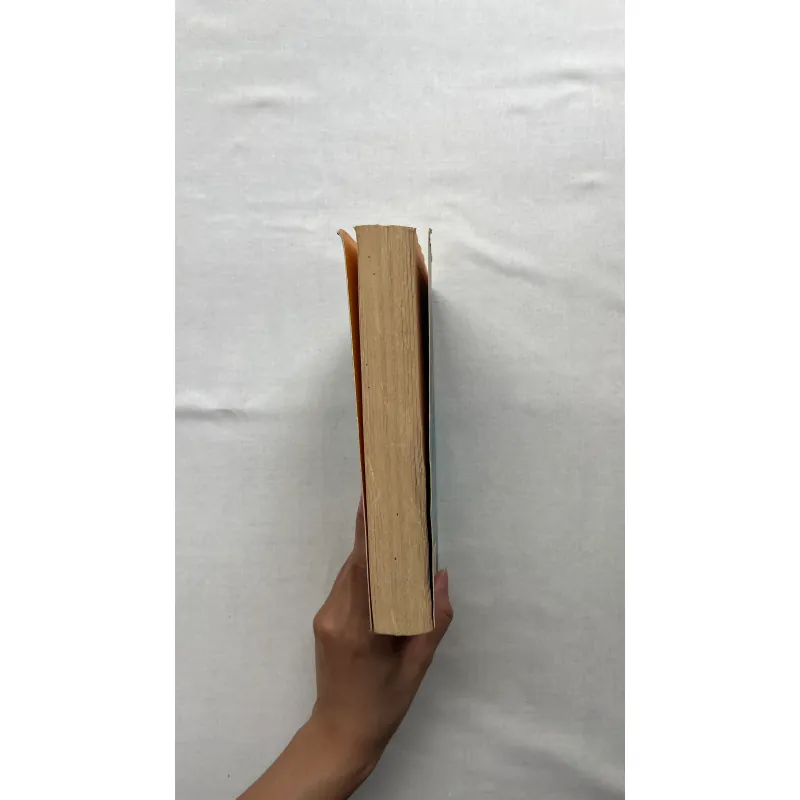 The Girls Who Disappeared - Claire Douglas  932589