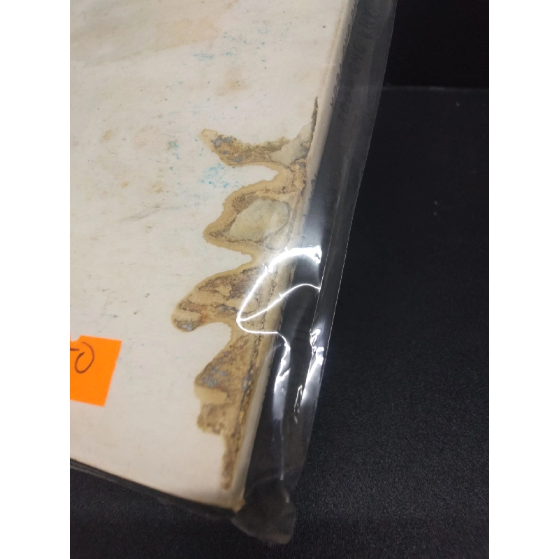 Yoga cho phái nữ Trần thị Minh Anh mới 60% tróc bìa ố nặng trầy bìa mối HCM0106 kỹ năng 914648