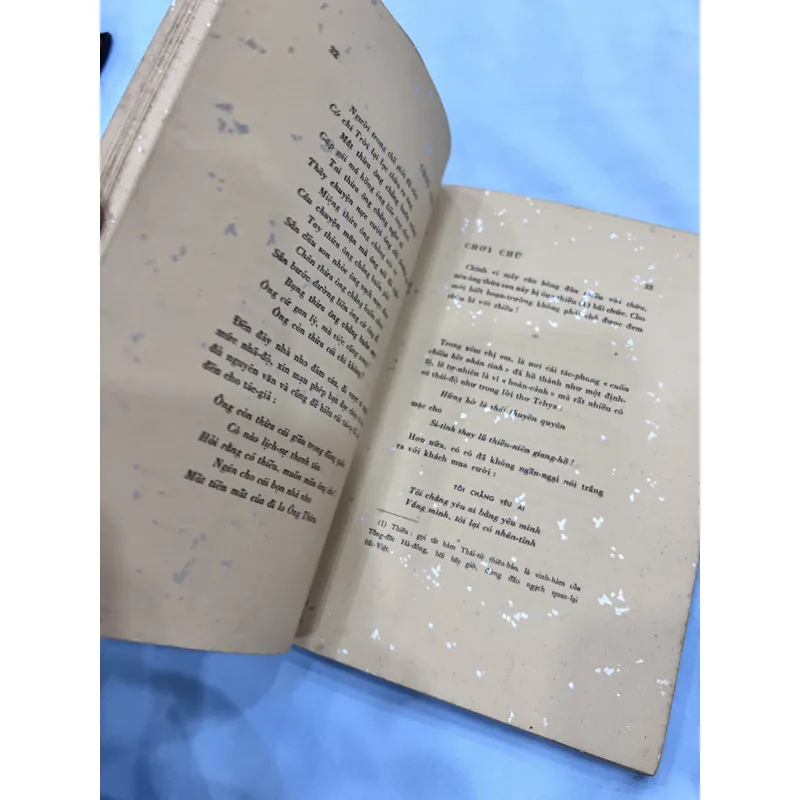 Chơi chữ - Lãng Nhân (bản đặc biệt có thủ bút tác giả) 589172