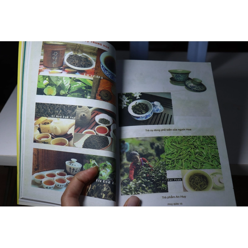 Lục bát trà 2011- Phạm Văn Sau 465814