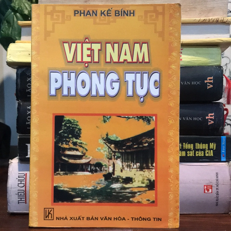 Việt Nam Phong tục 470802