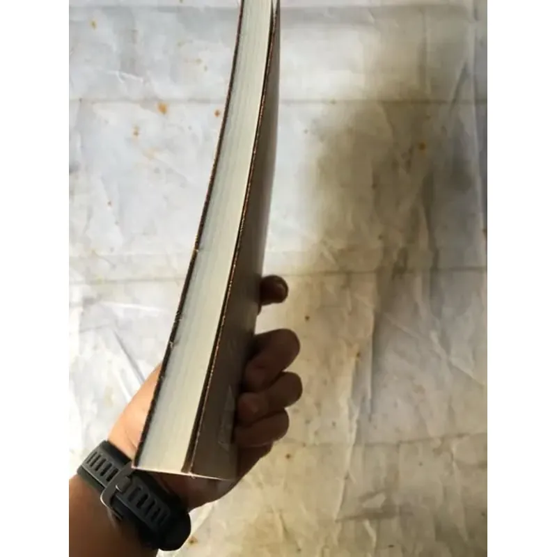 Bùi Giáng, Một Đời Thơ - Bửu Ý 693536