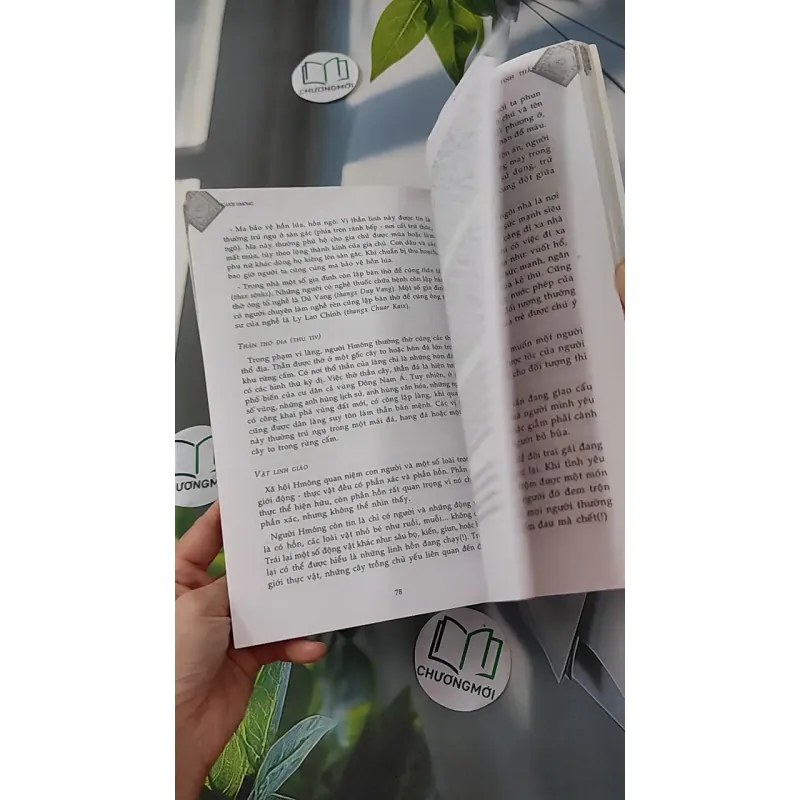 Người H'mông - Chu Thái Sơn & Trần Thị Thu Thủy 1018826