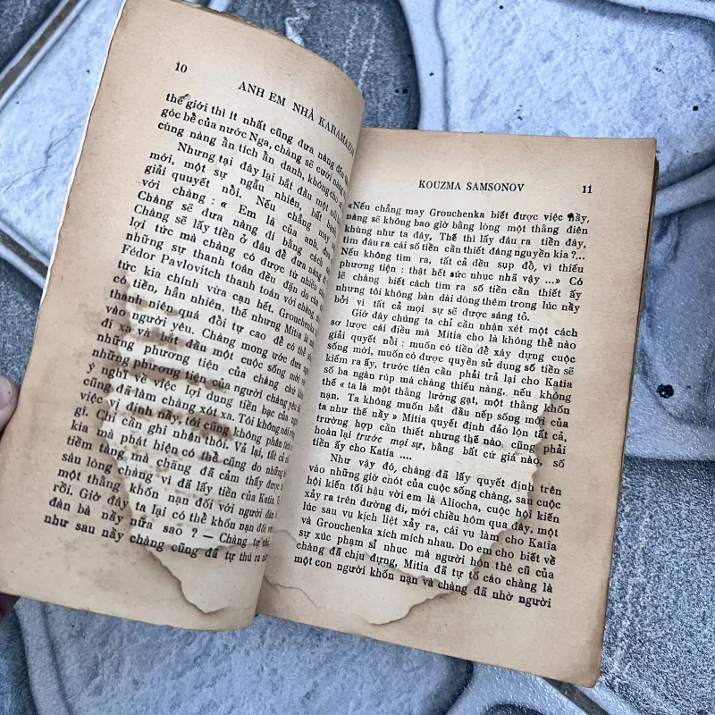 Anh em nhà karamazov - Trương Đình Cử (1972) 752773