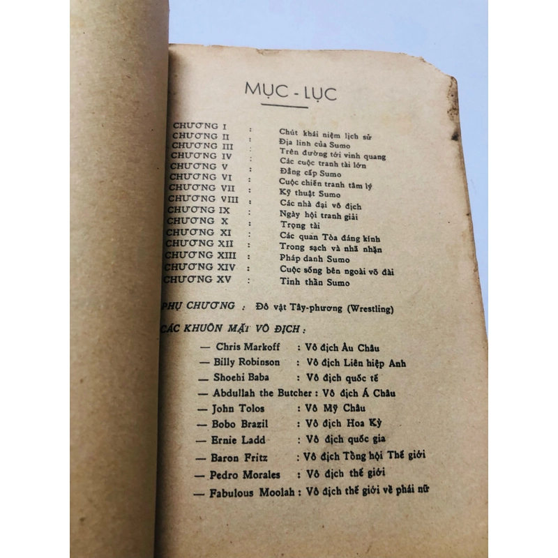 ĐÔ VẬT ( Tác giả GS Hàng Thanh) 469846