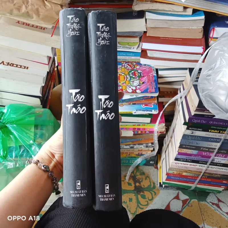 Tào Tháo - Trần Trọng Hoài  1017769