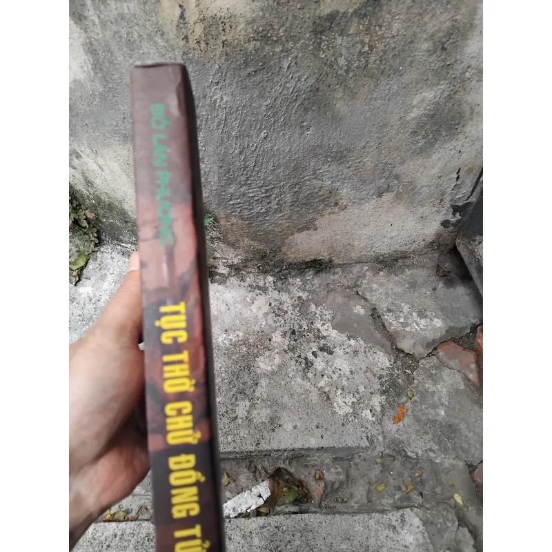 Tục thờ Chử Đồng Tử của Đỗ Lan Phương  1002341