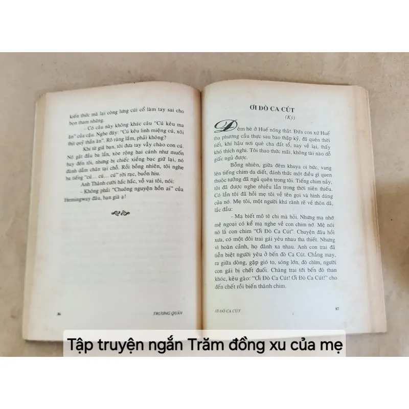 Truyện ngắn: TRĂM ĐỒNG XU CỦA MẸ - Tác giả: Trương Quân 706280