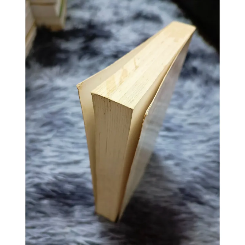 Những bí ẩn sau cõi chết (Đoàn Văn Thông) 961371