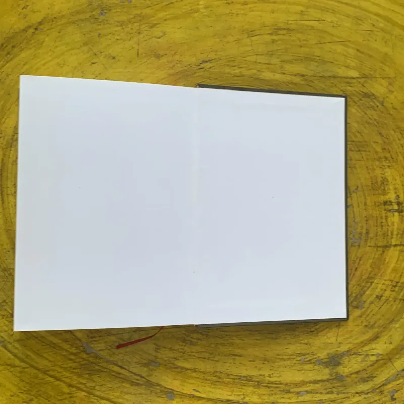 CỰU ƯỚC & TÂN ƯỚC GIẢN LƯỢC - HUANG SABIN   1029455