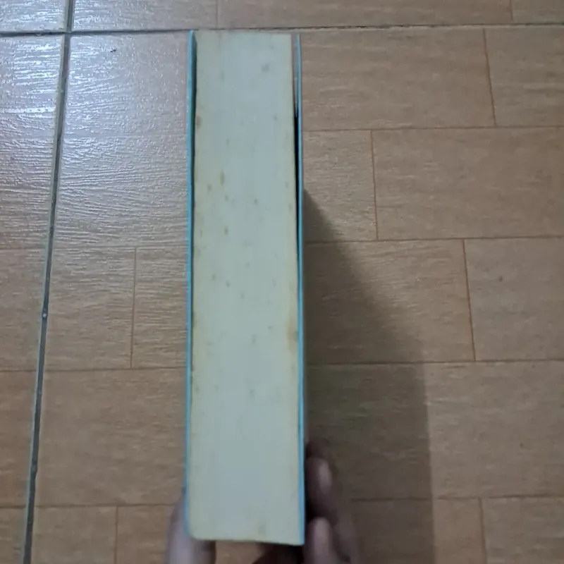 Ai còn chờ ai giữa mùa hoa nở 1008588