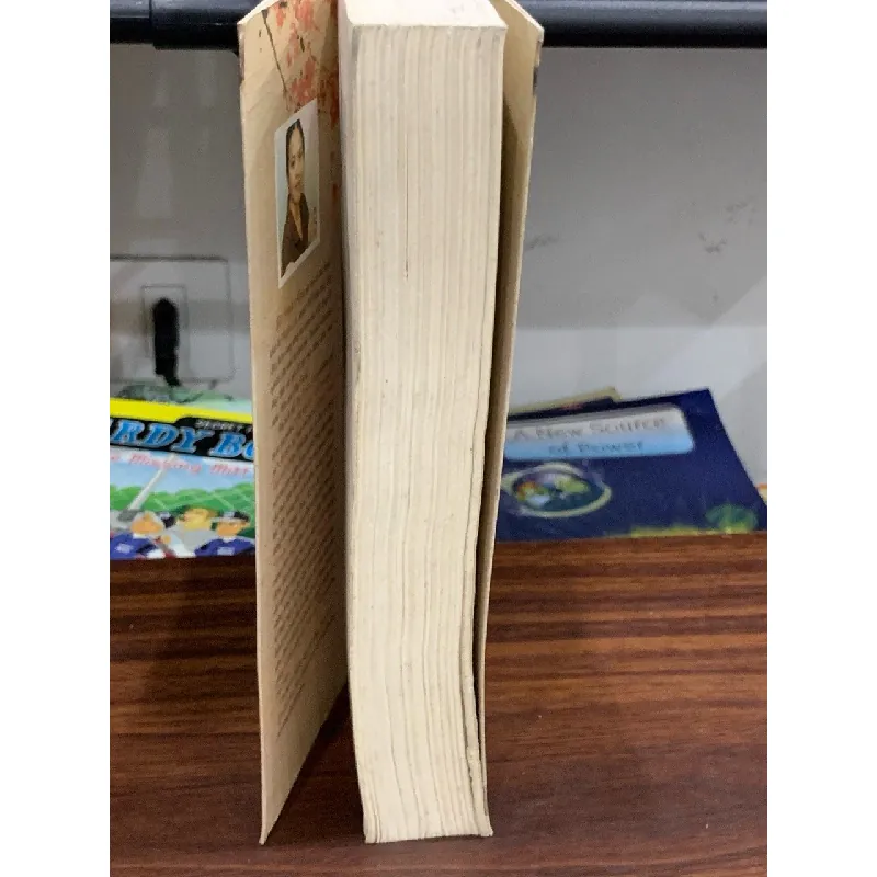 Mê hiệp ký (Tập 2) – Thi Định Nhu 592628