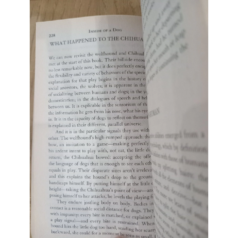 Inside of a dog - Alexandra Horowitz 537801