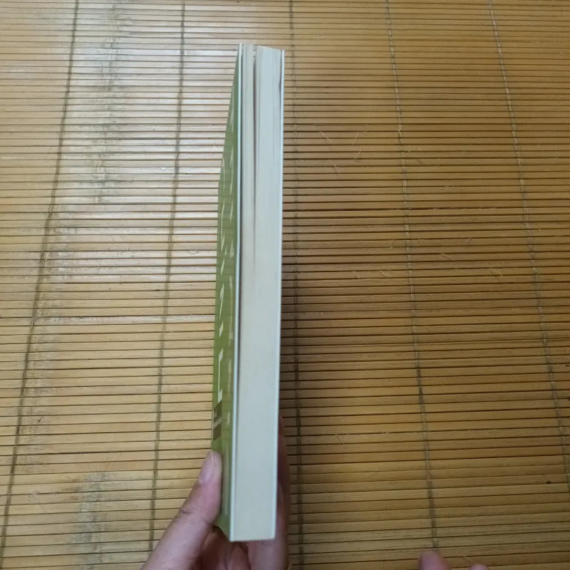 Dưới Mắt Tôi- Trương Chính 776254