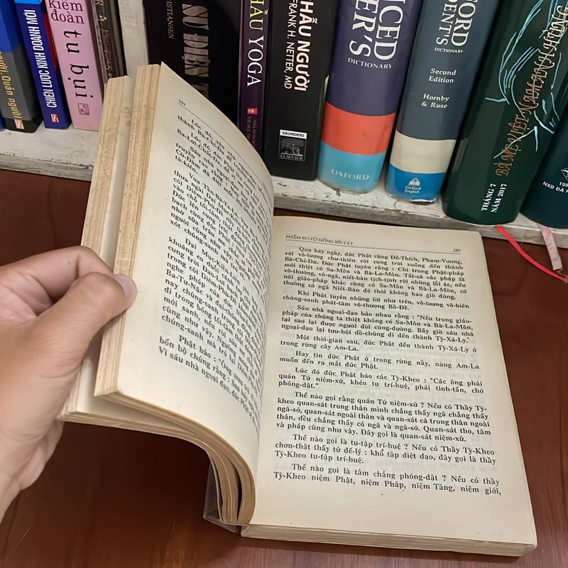 II Sách Phật Giáo: Kinh Đại Bát Niết Bàn (Tập 2) - HT. Thích Trí Tịnh (Dịch Giả) - 1991 539070
