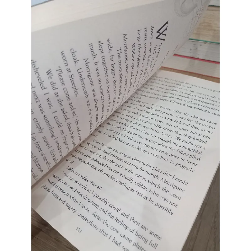 The finisher - David Baldacci 715152